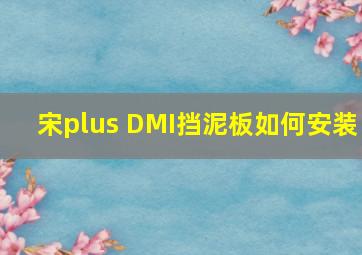 宋plus DMI挡泥板如何安装